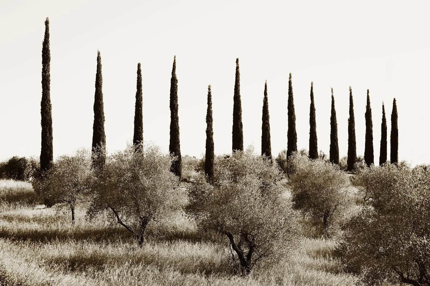 Tavernelle Val di Pesa