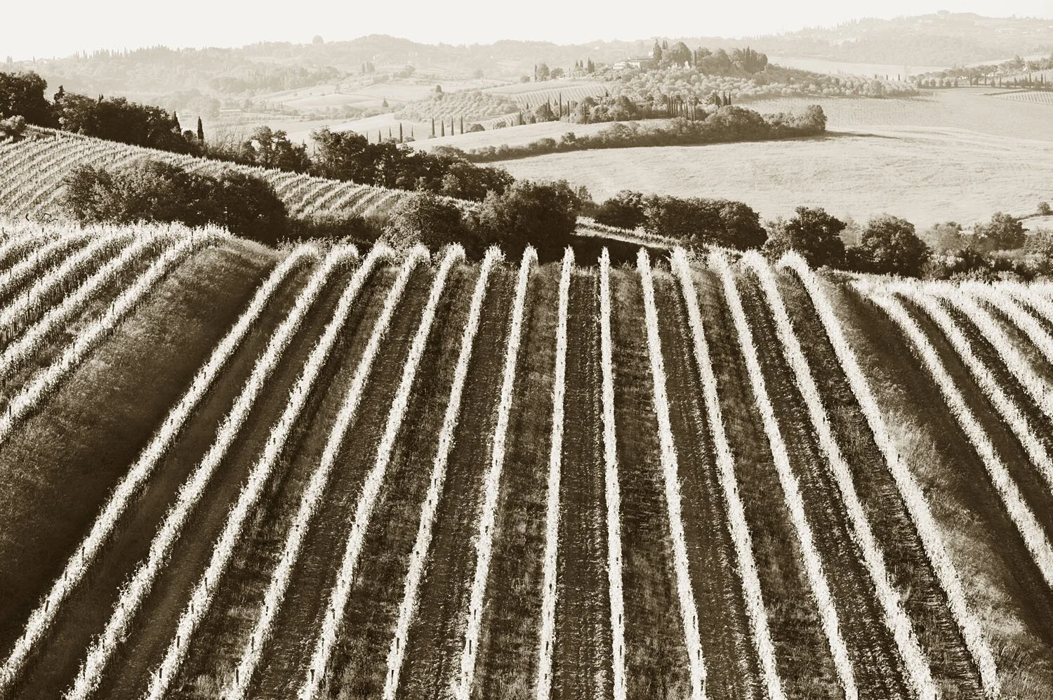 Castellina in Chianti 