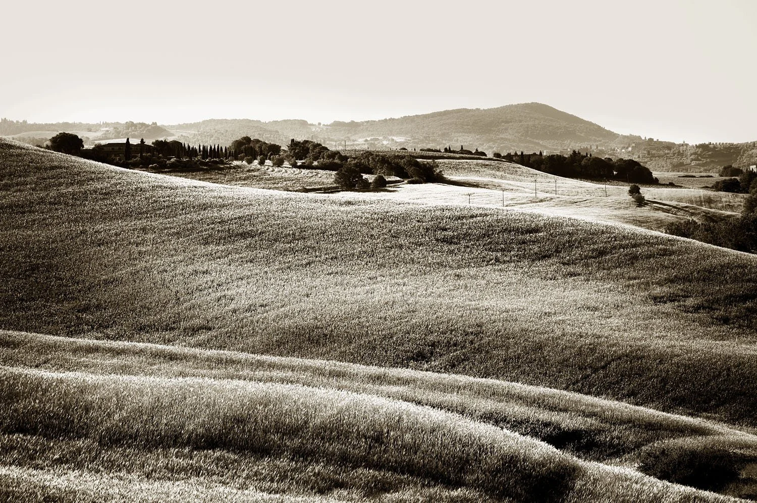 Asciano