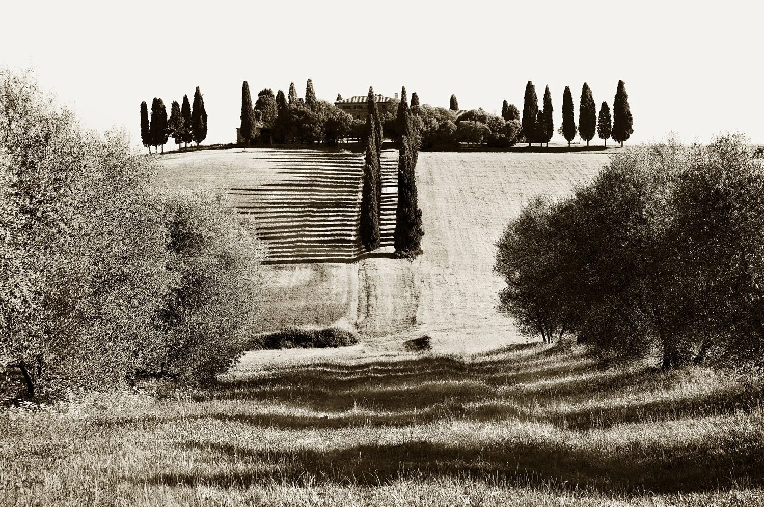 San Quirico d'Orcia