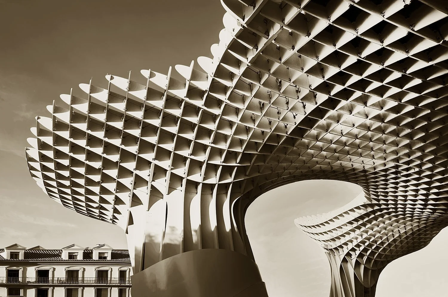 Setas de Sevilla 3