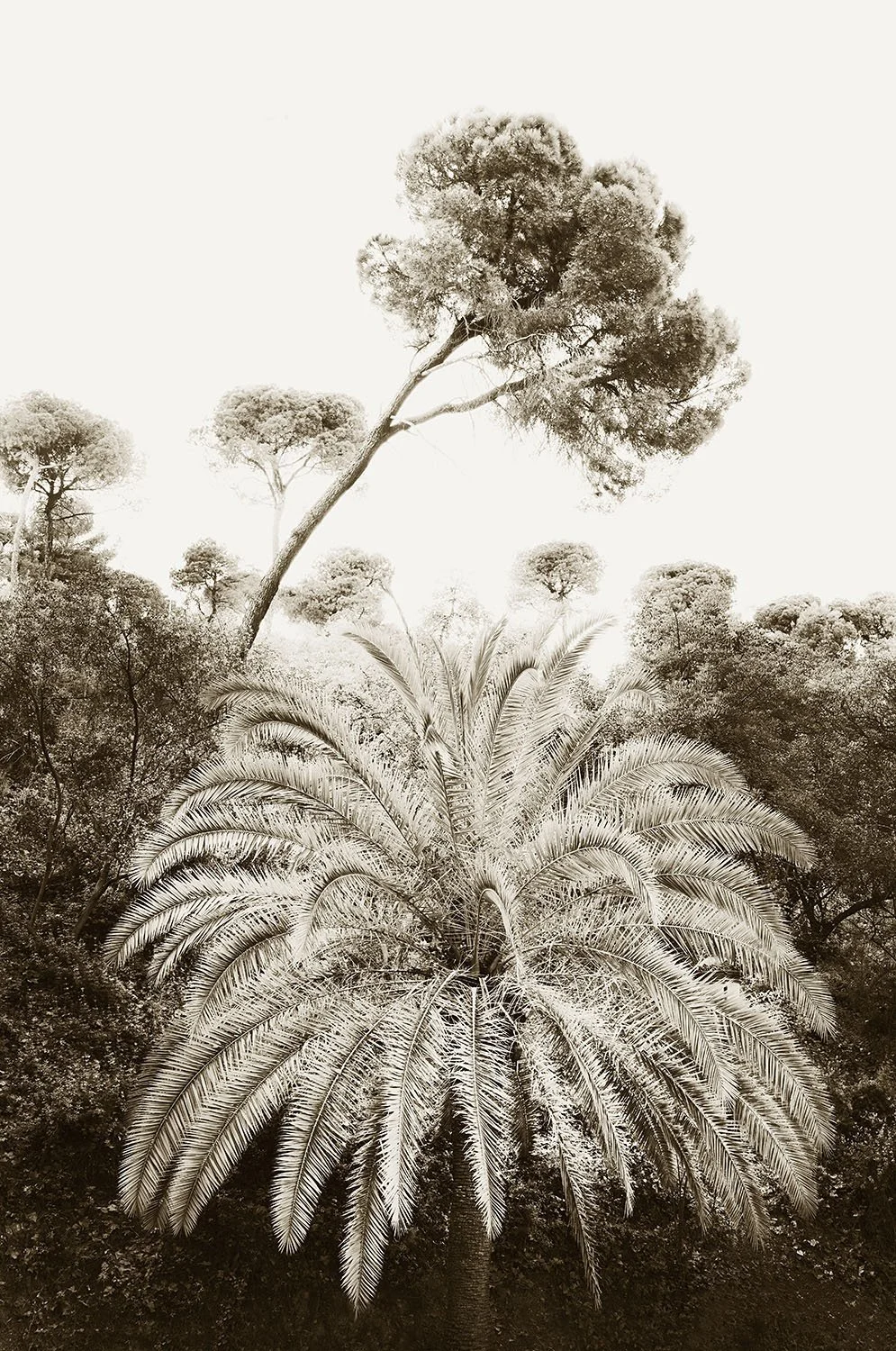 Andalusia