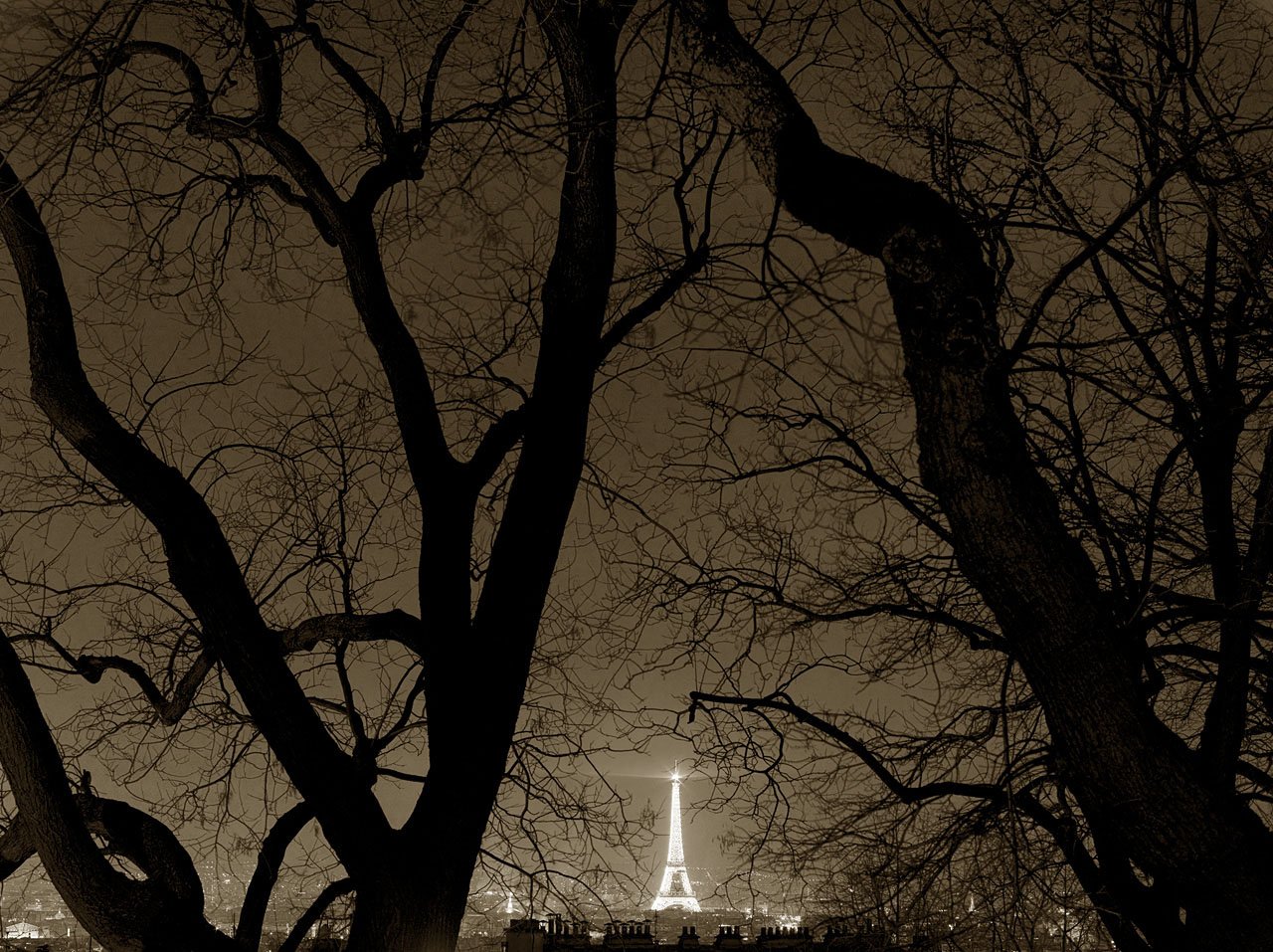 Eiffel Tower 5