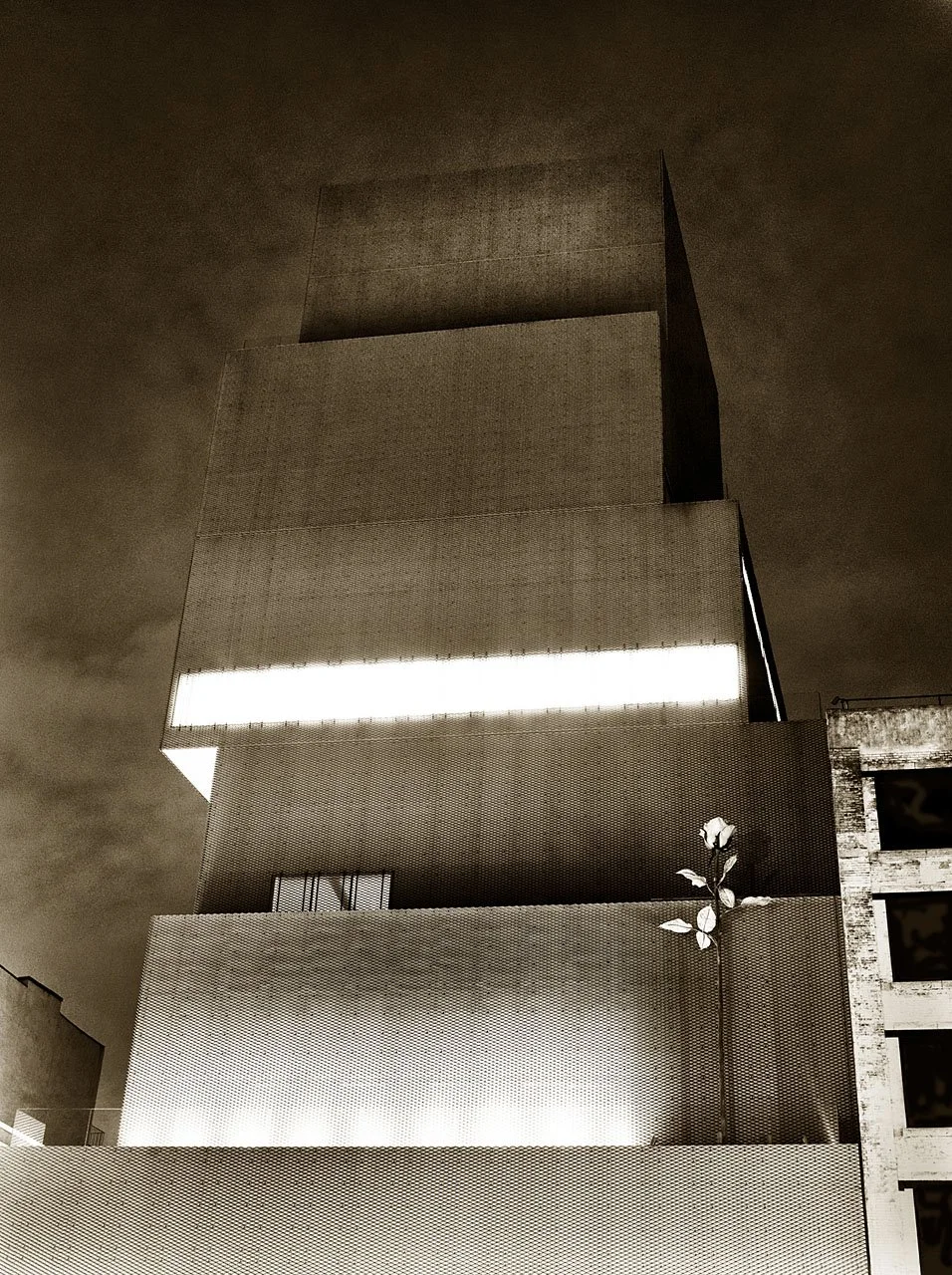 New Museum Of Contemporary Art
