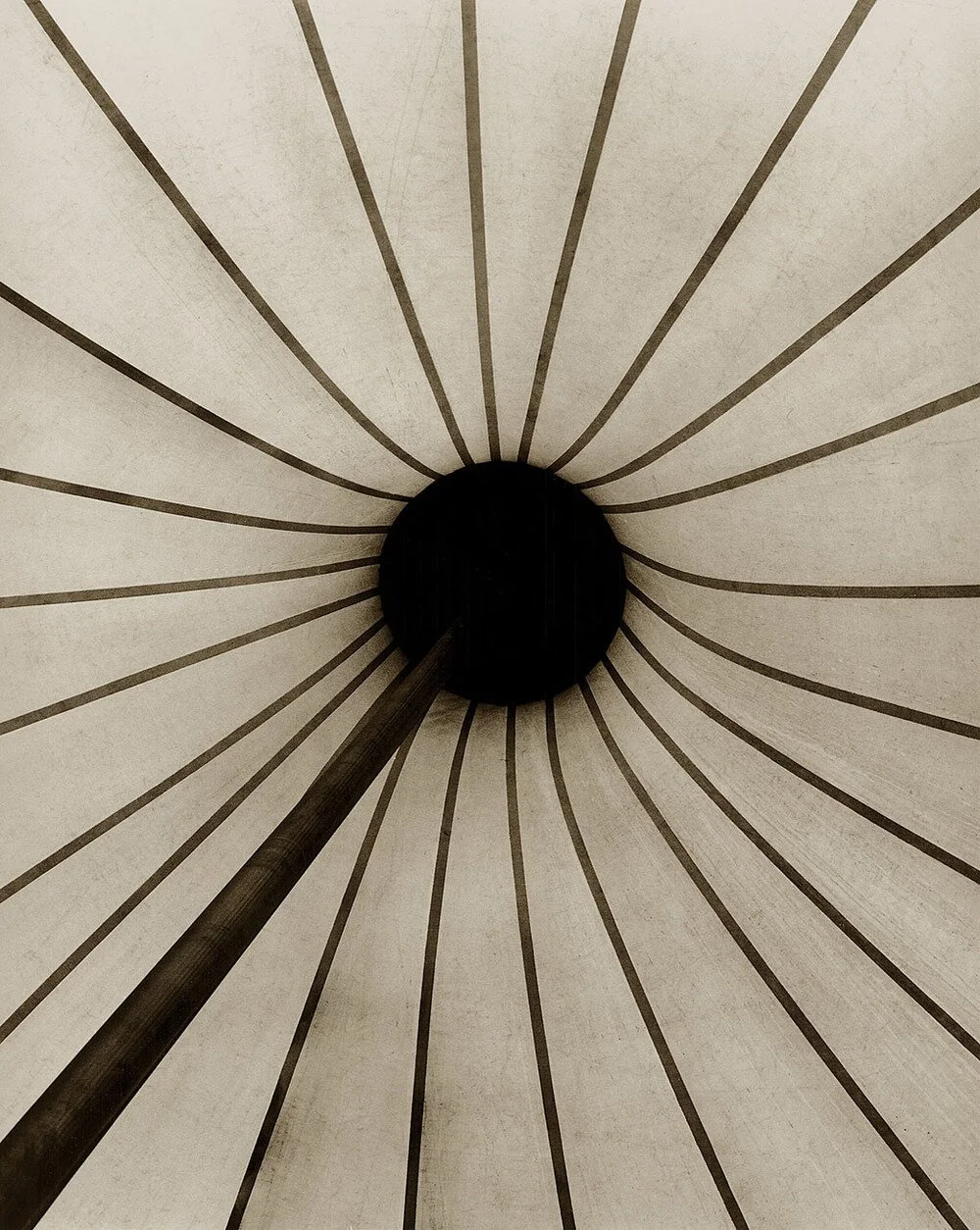 Flower Tent