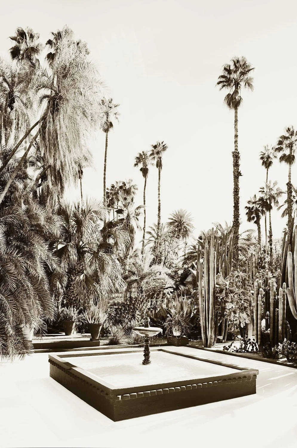 Palm Springs
