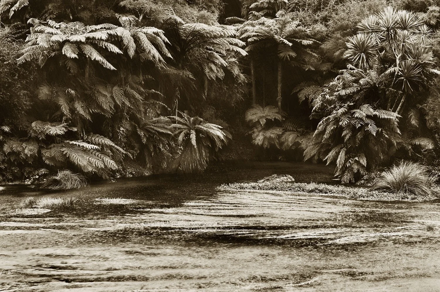 Putaruru