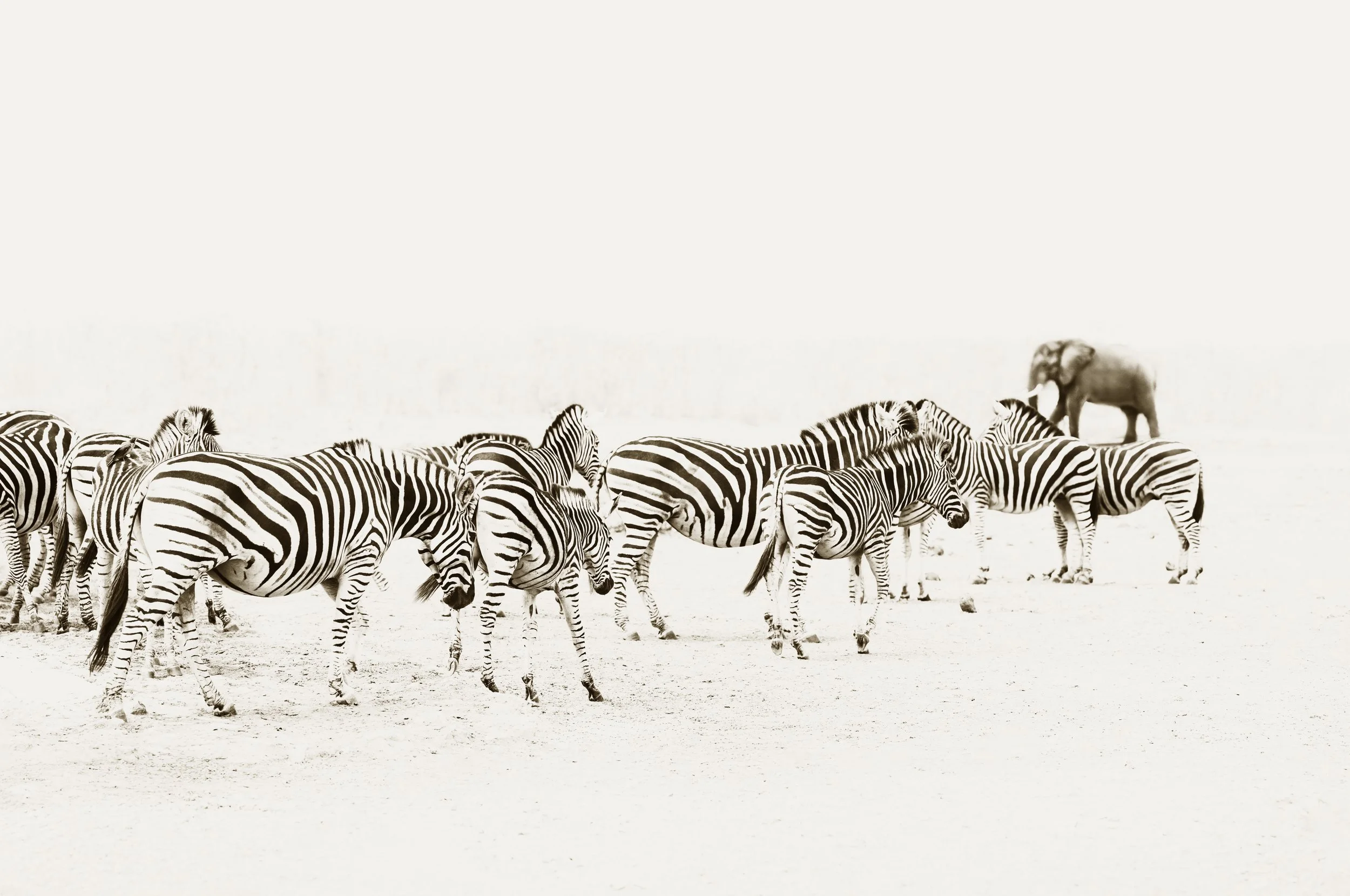 Crossing