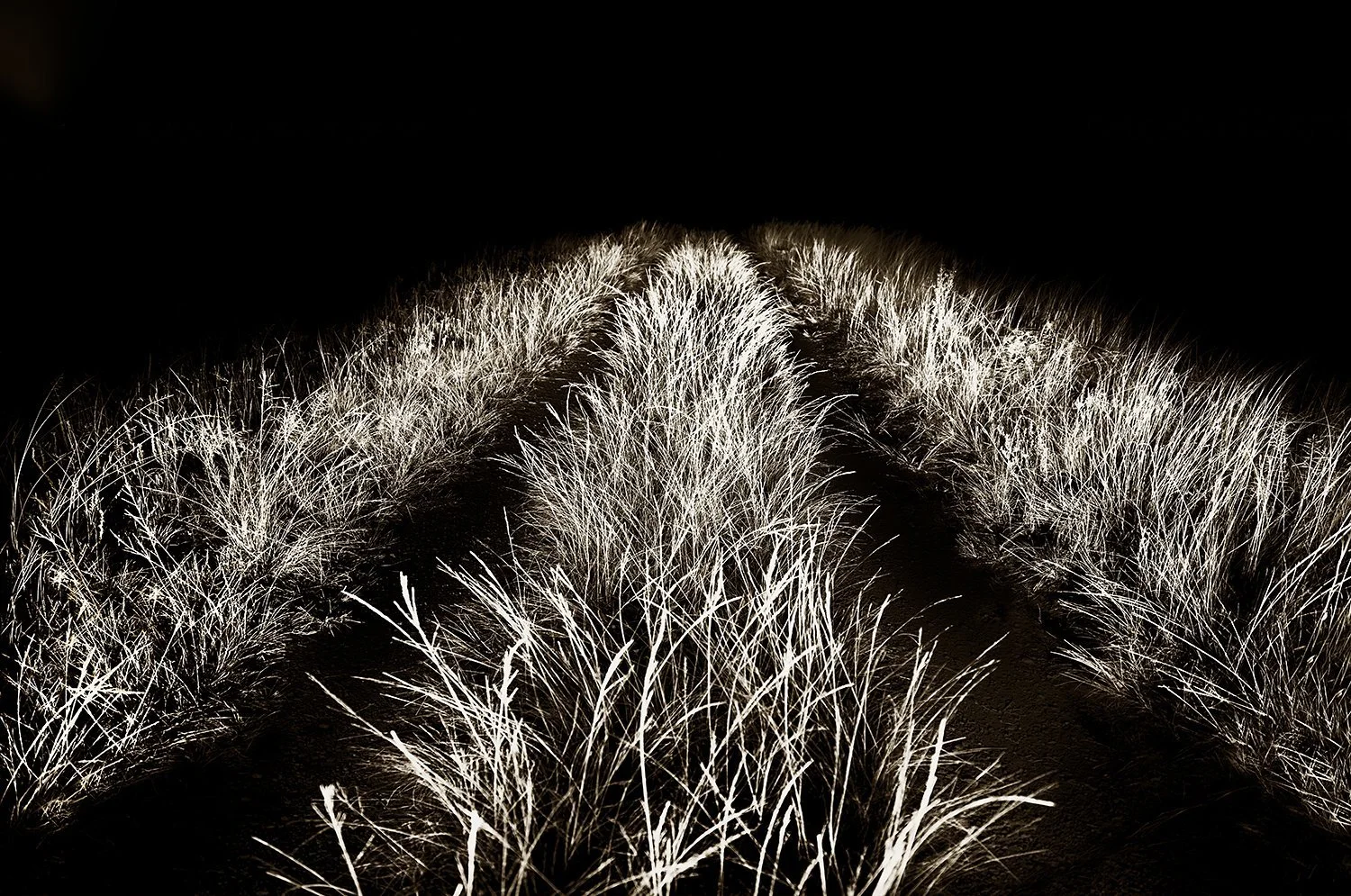 Tracks