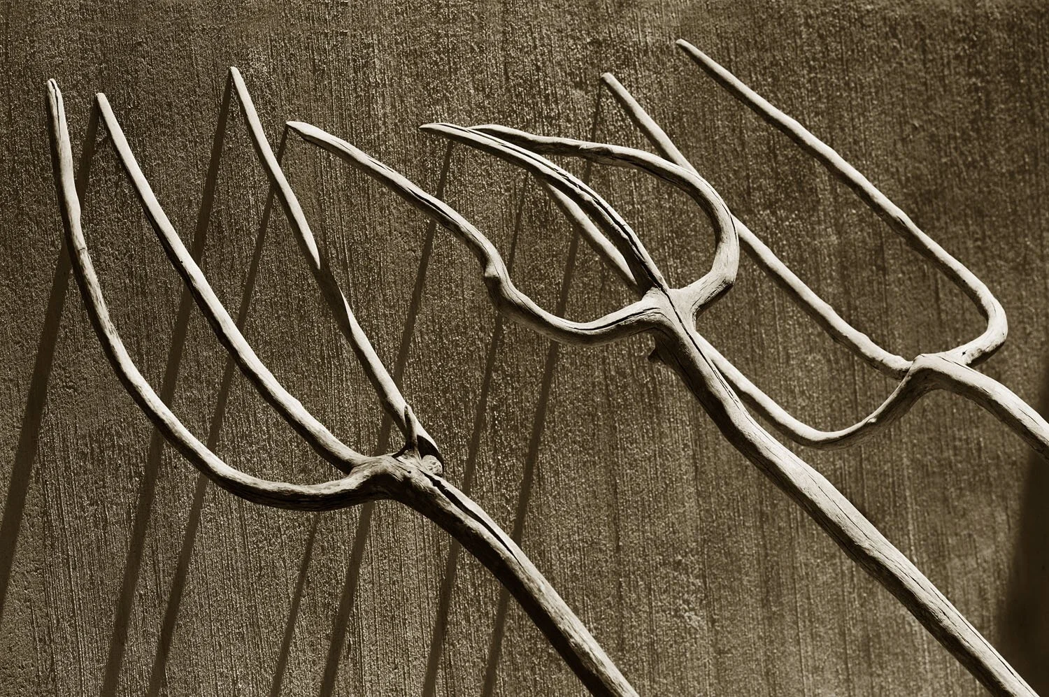 Forks
