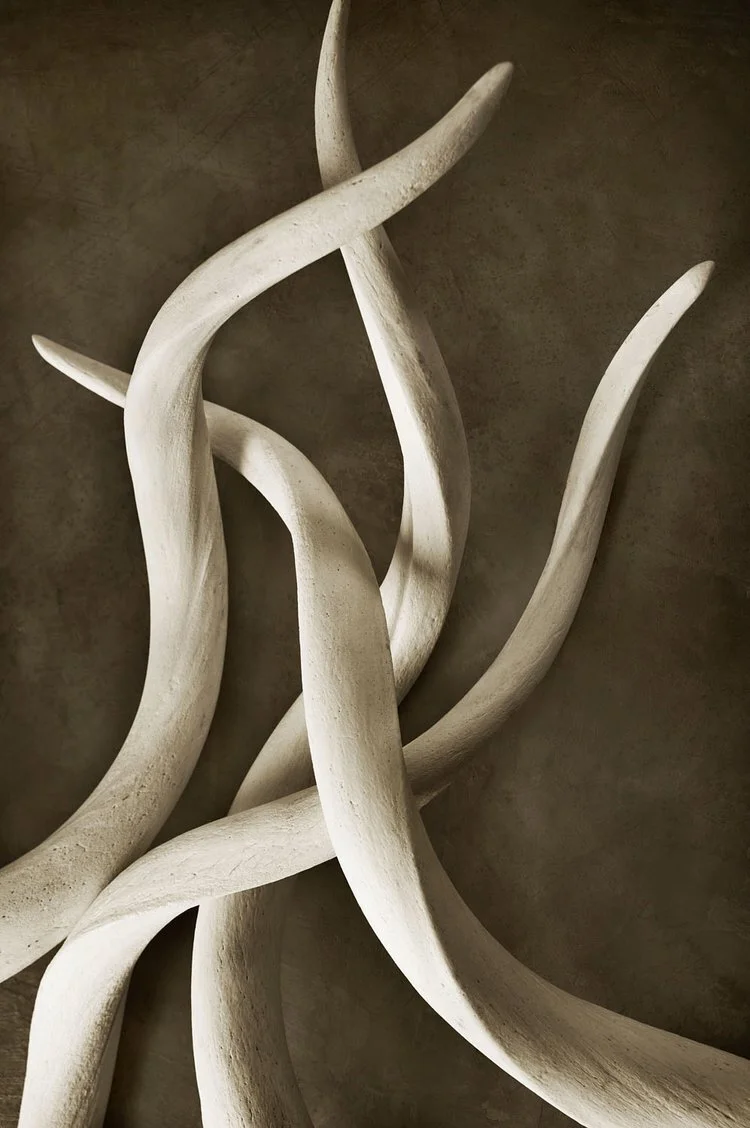 Kudu Horns
