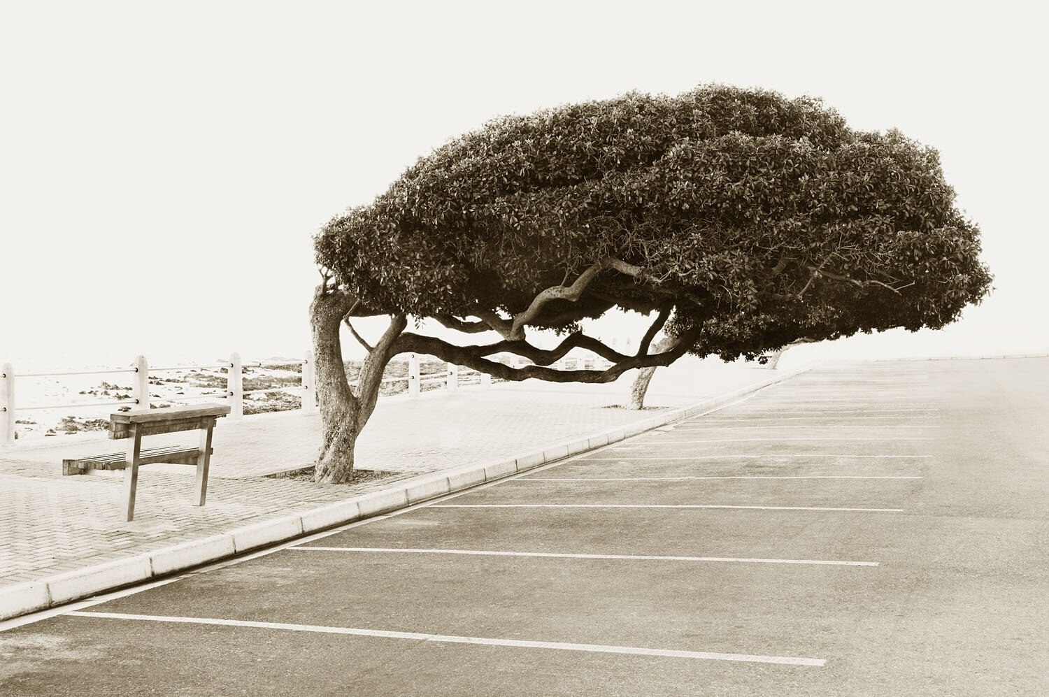 Sea Point