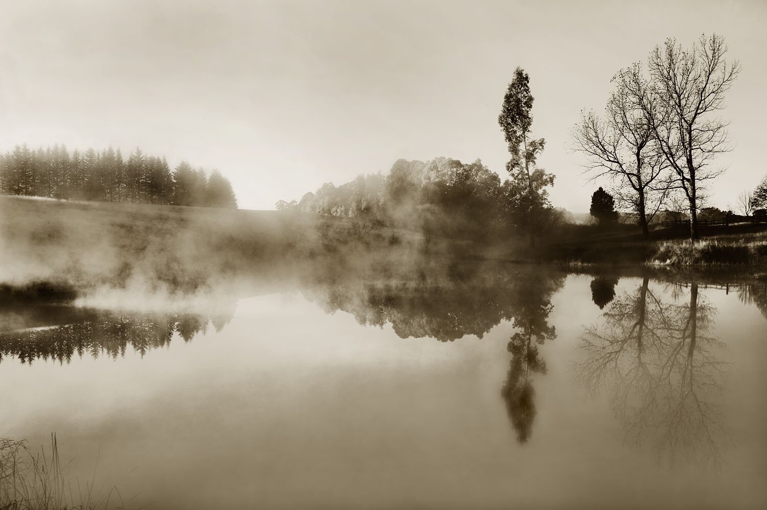 Mist