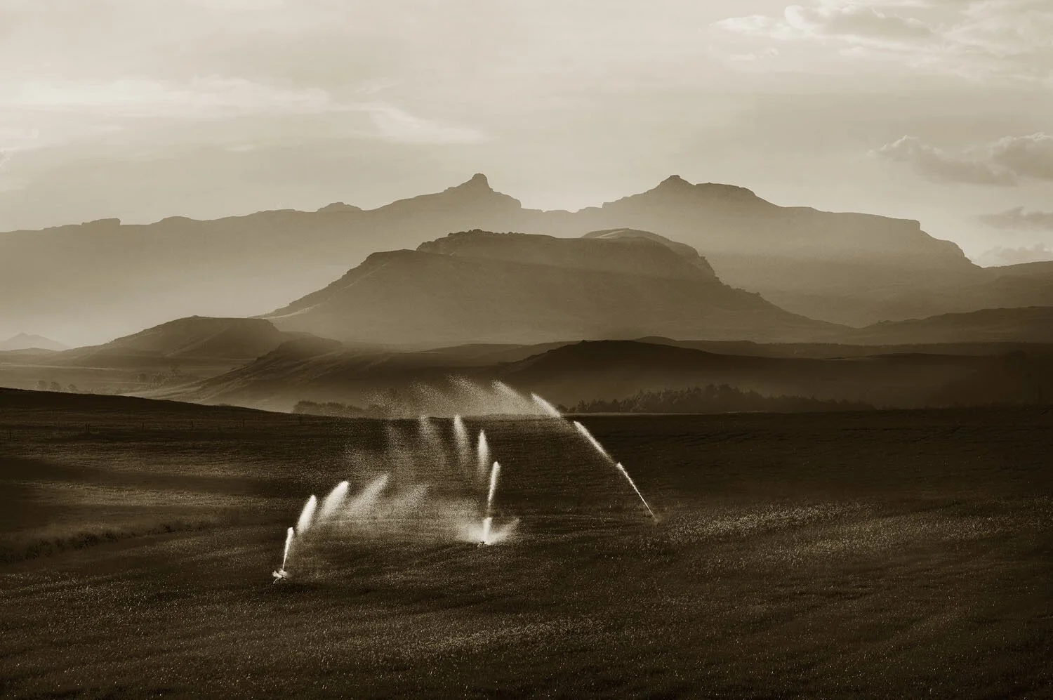Sprinklers