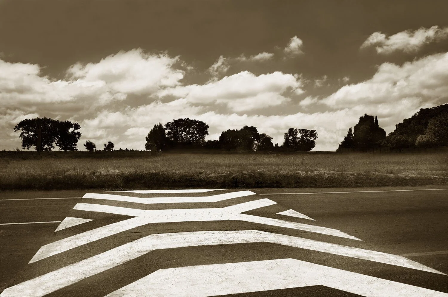 Zebra Crossing