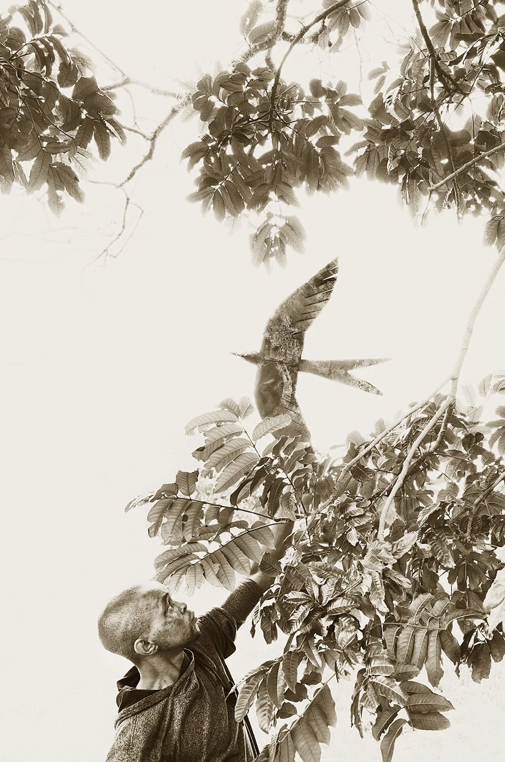 A bird in the hand