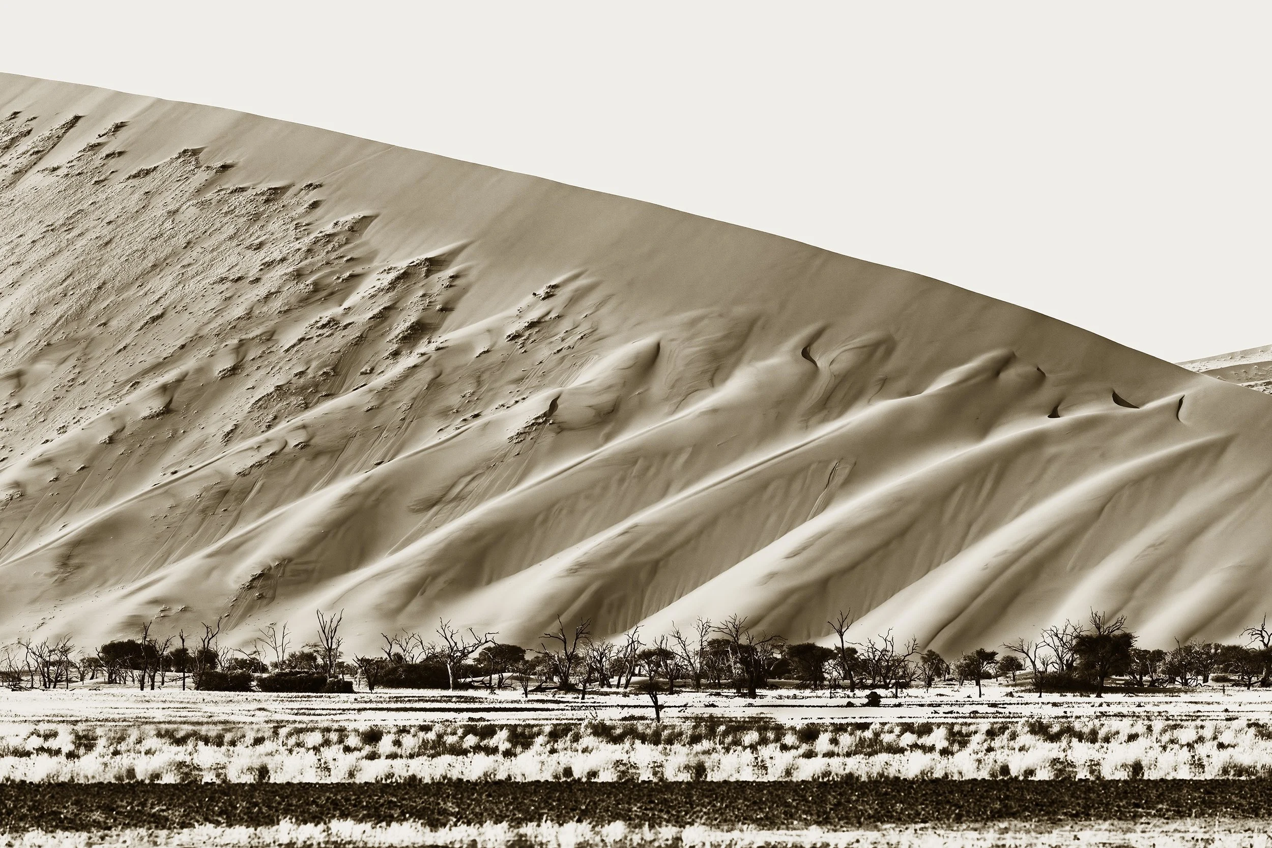 Sossusvlei 3