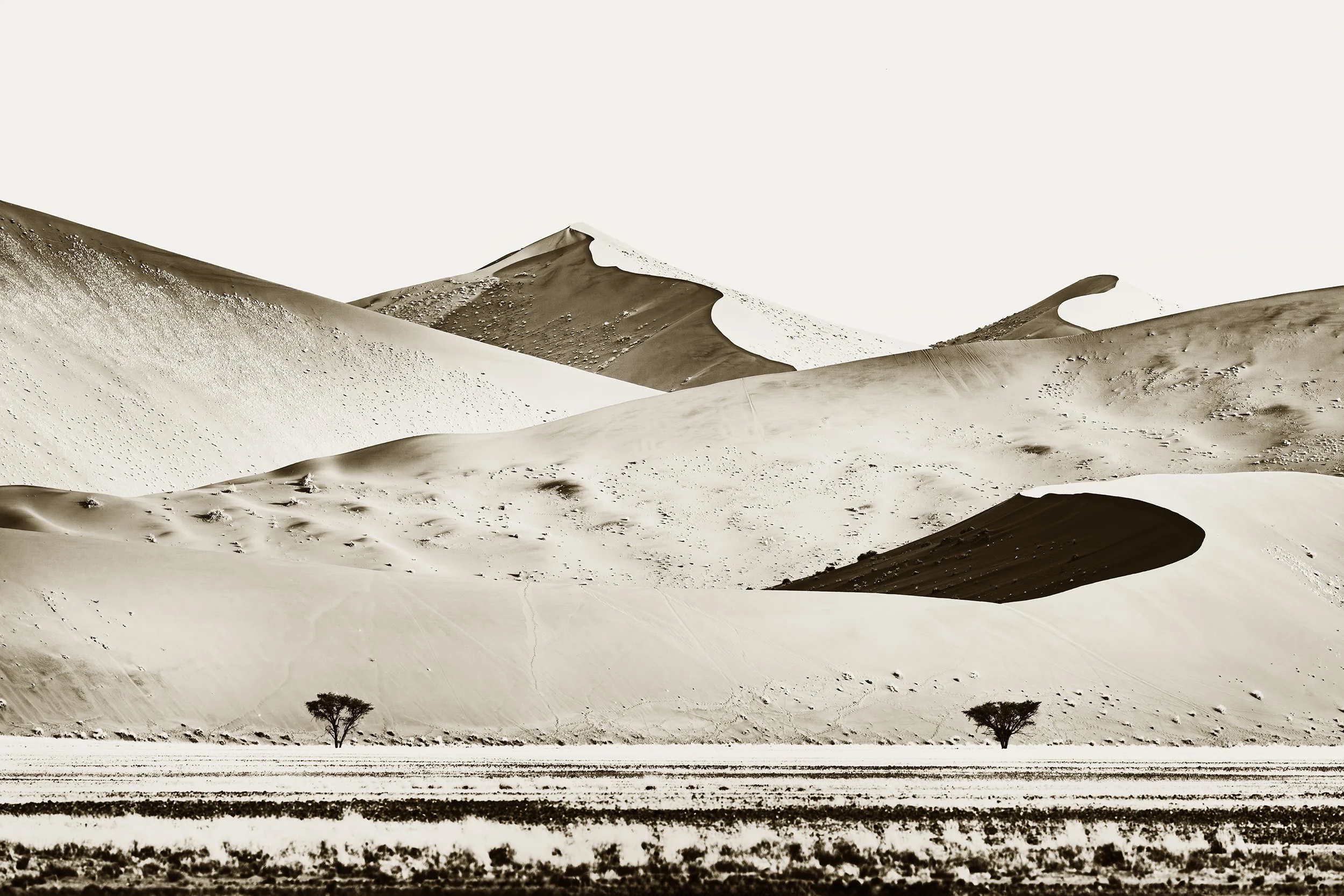 Sossusvlei 4