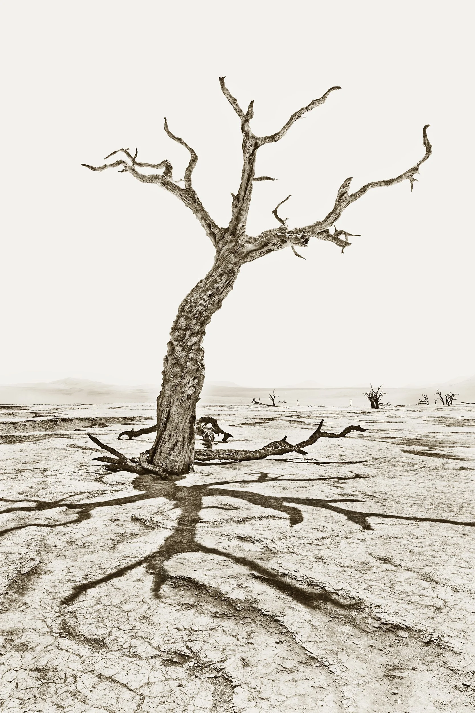 Deadvlei 4