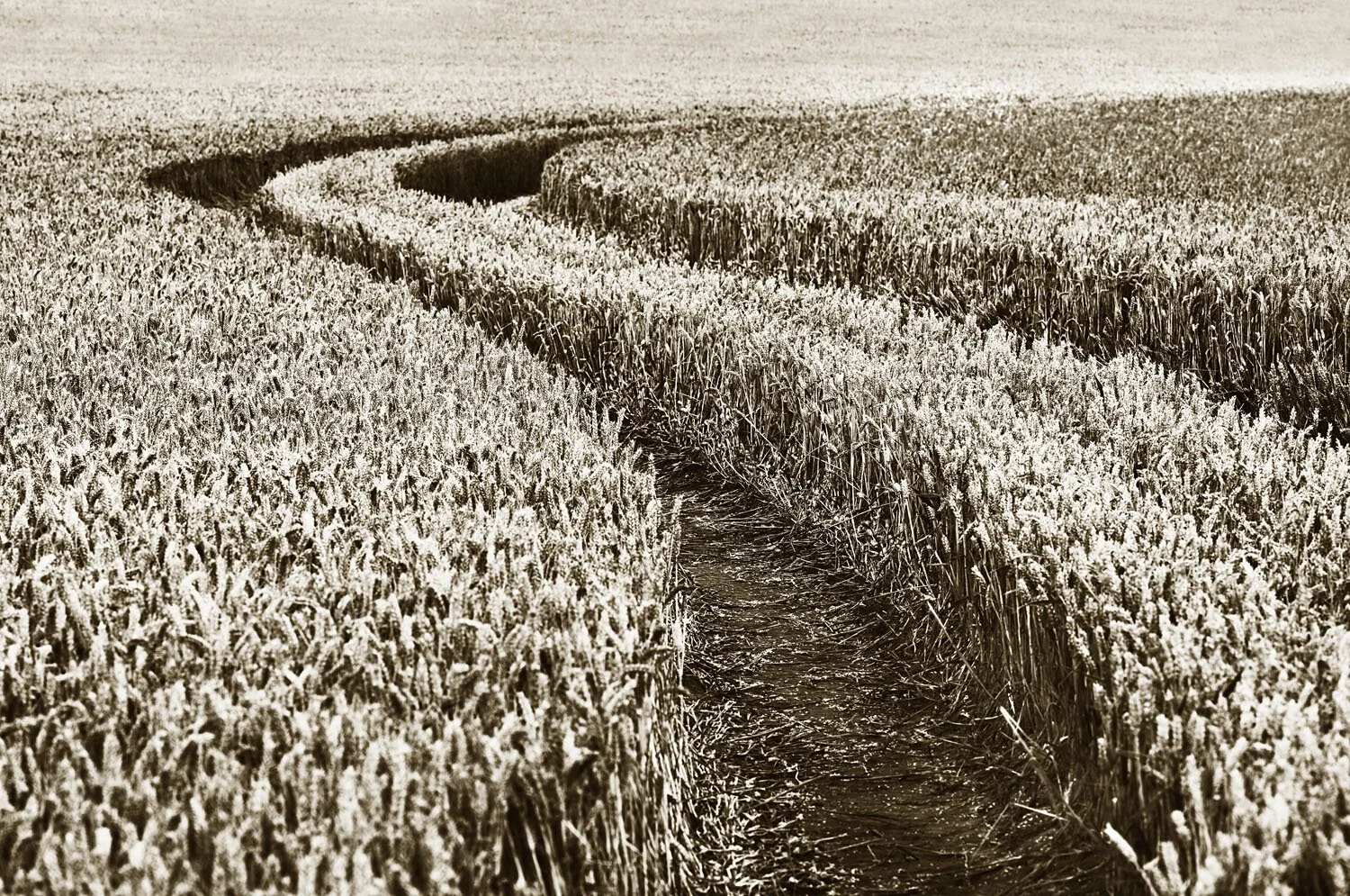 Tracks