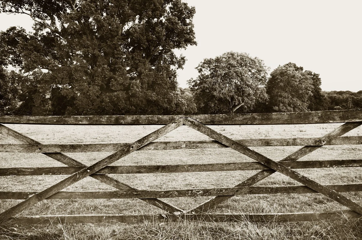 5 Bar Gate