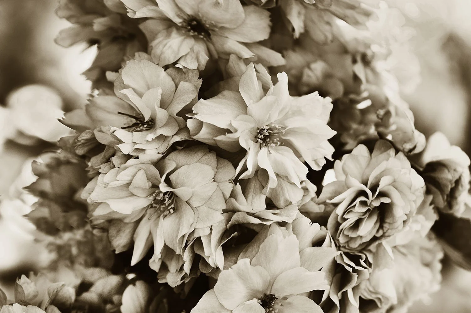 Impermanence