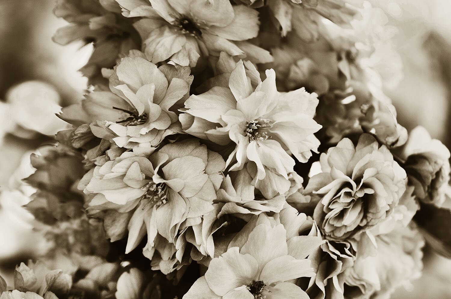 Impermanence