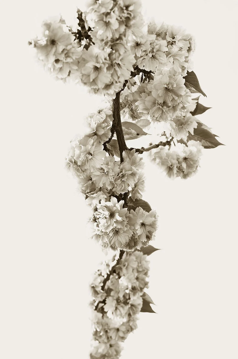 Fragile