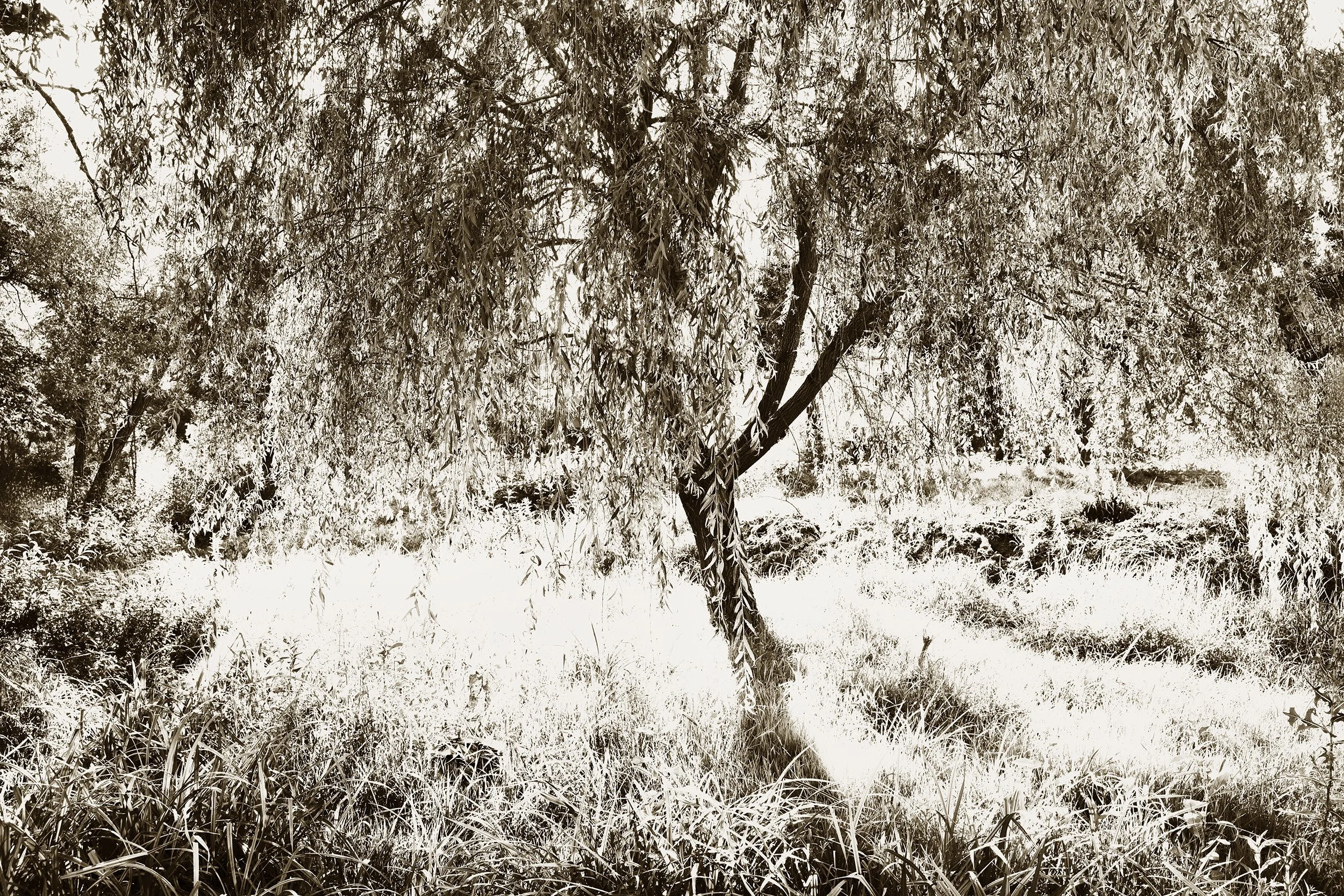 _F2A0661 5.jpg