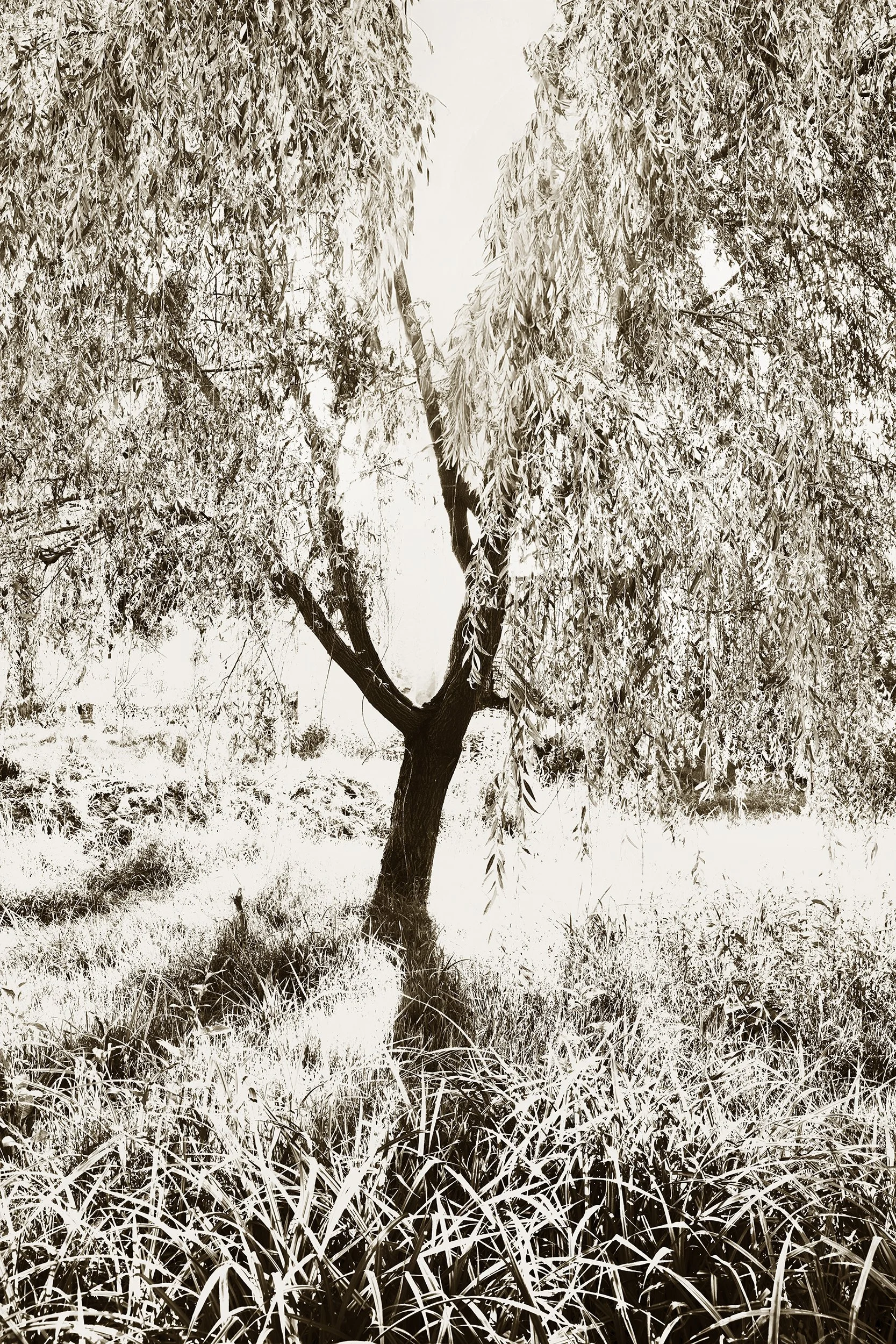 _F2A0711 5.jpg