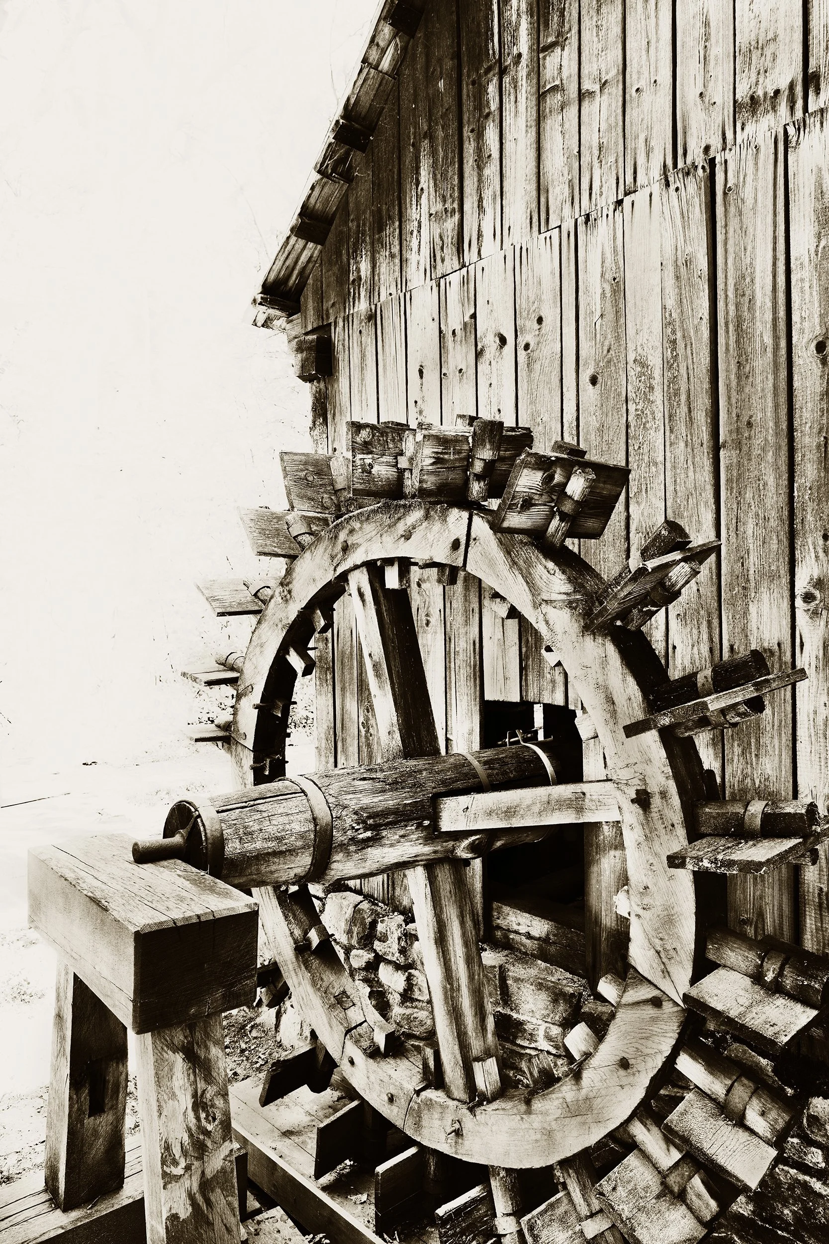 _F2A4030 6.jpg