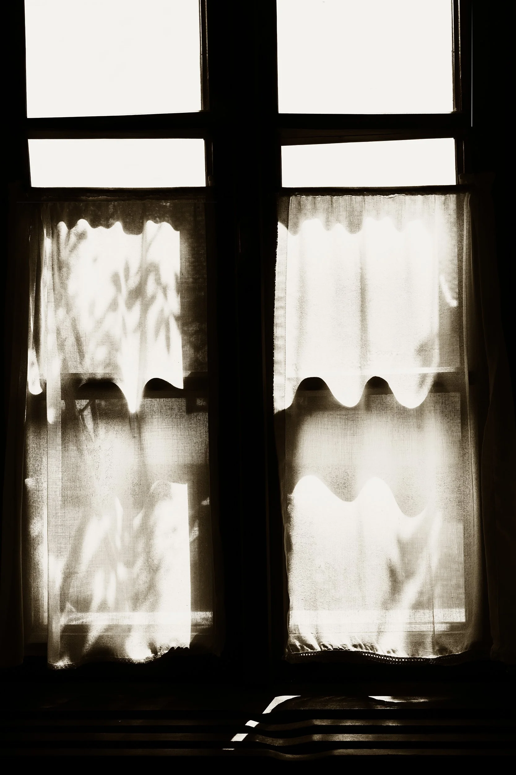 _F2A6023 3.jpg