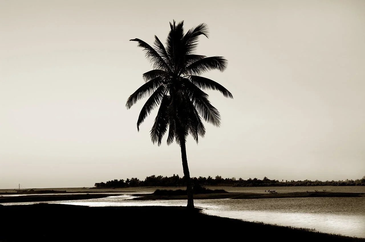 Loner.jpg.webp