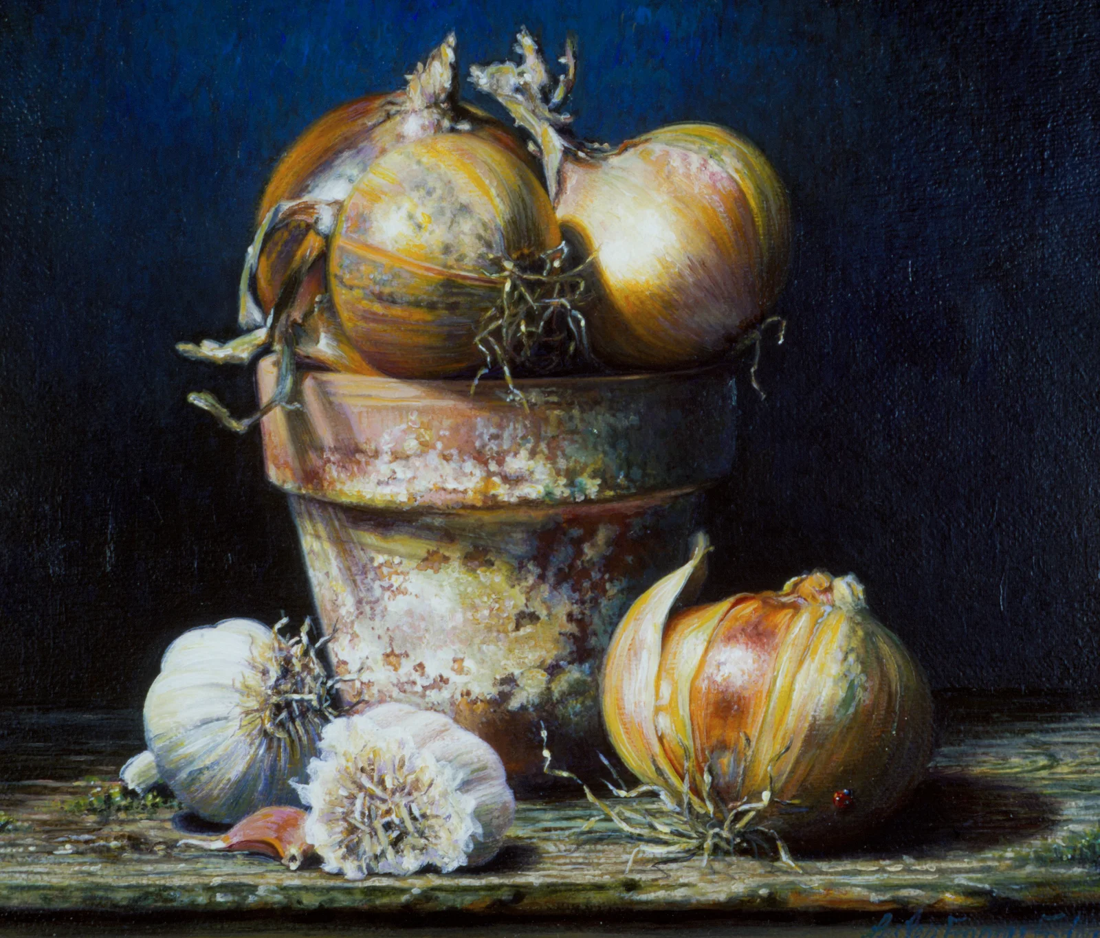 Potted Onions Again