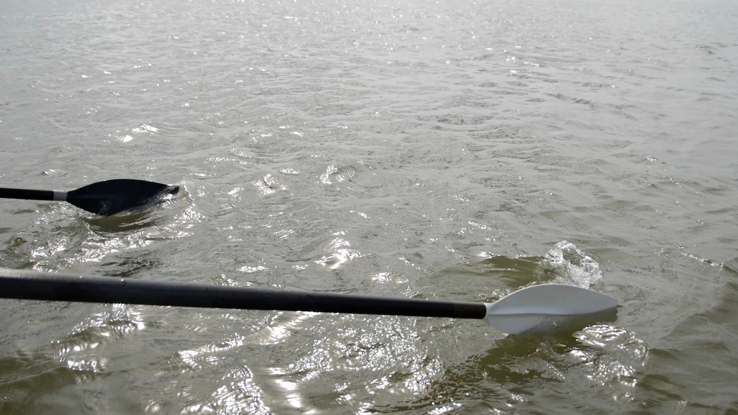 Why I'm rowing