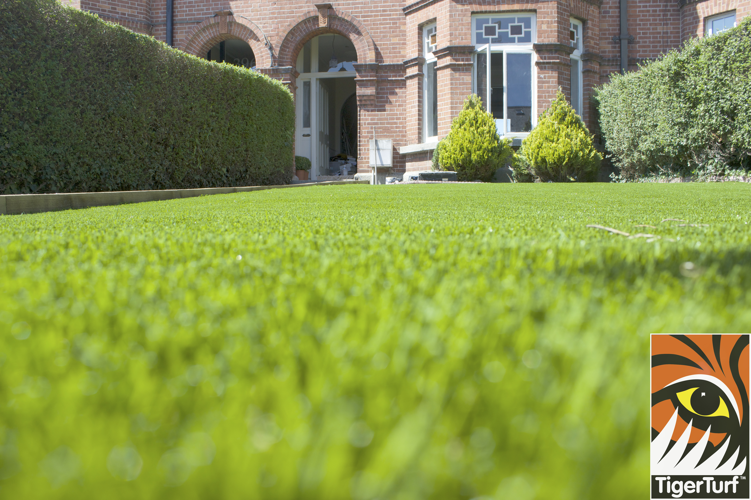 TigerTurf synthetic grass in front garden