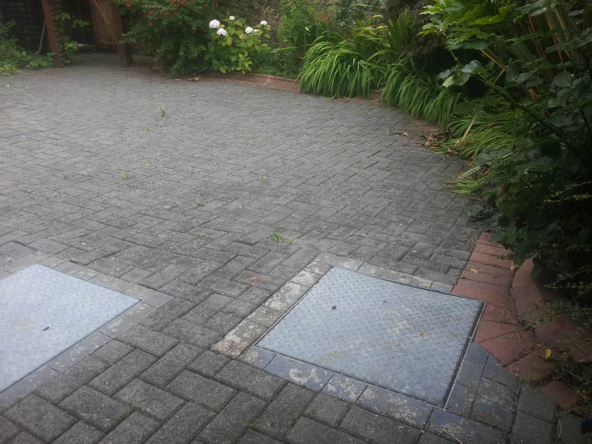 garden before Landscaping