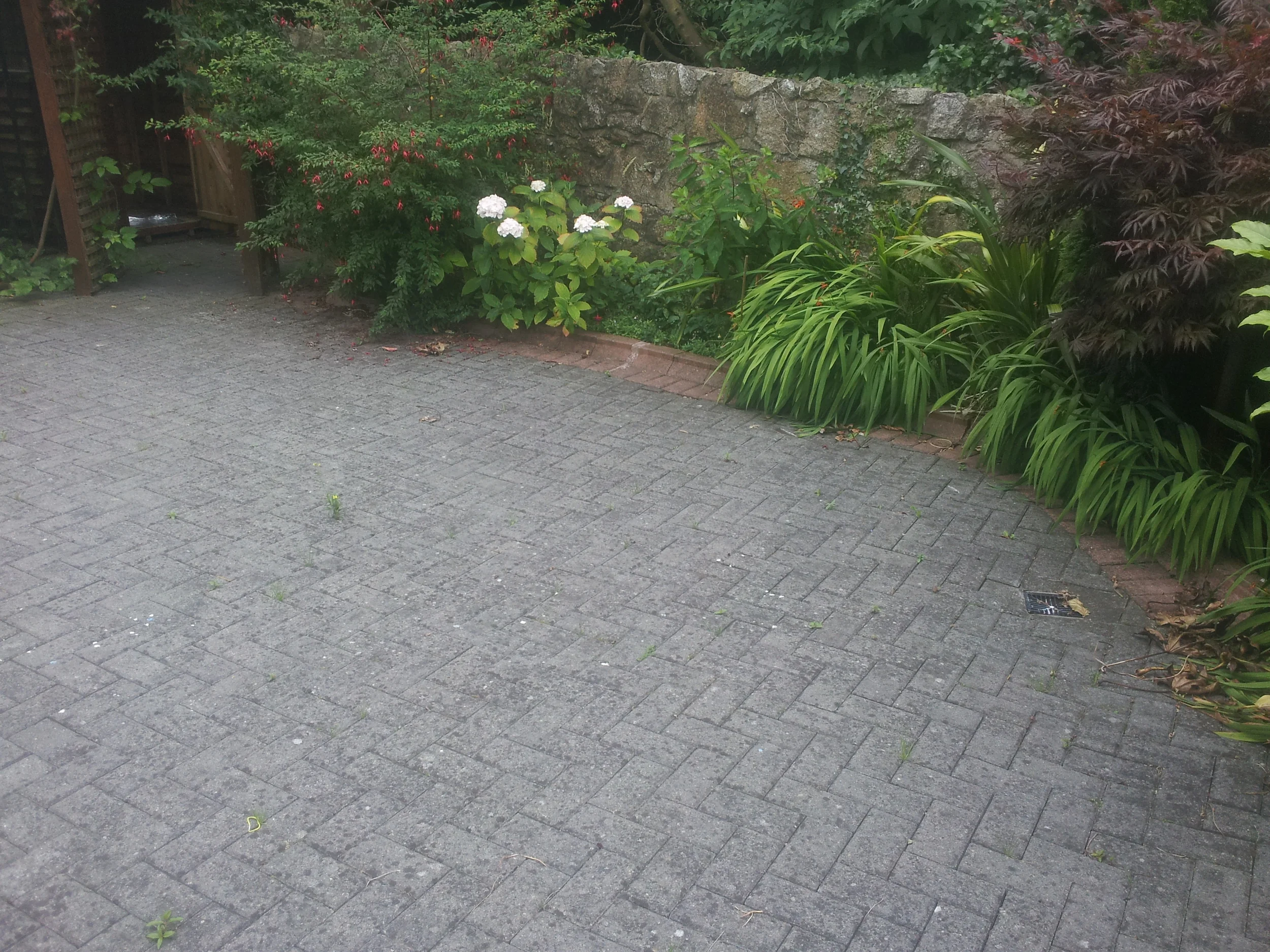 20130808_103649.jpg