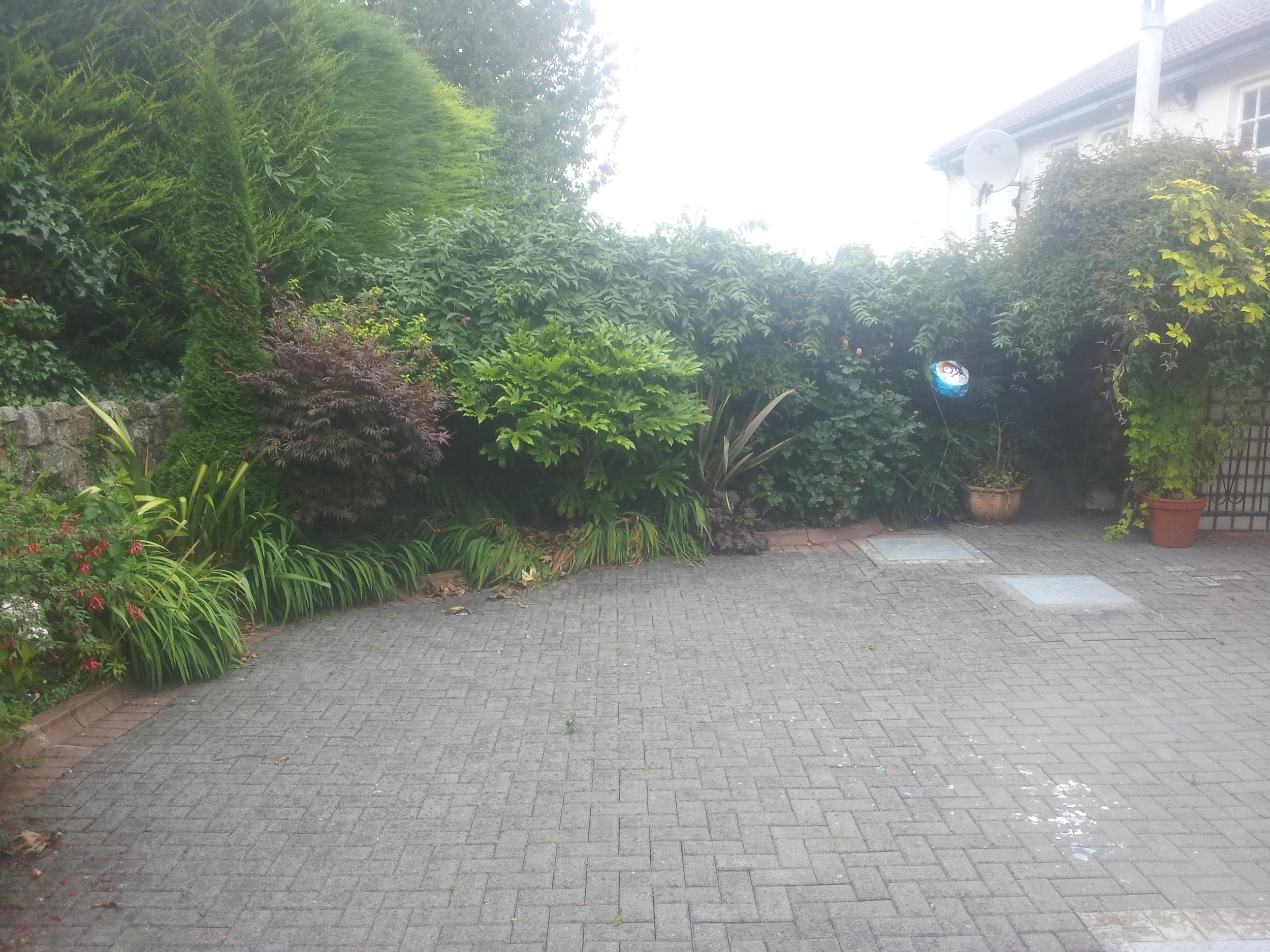 20130808_104400.jpg