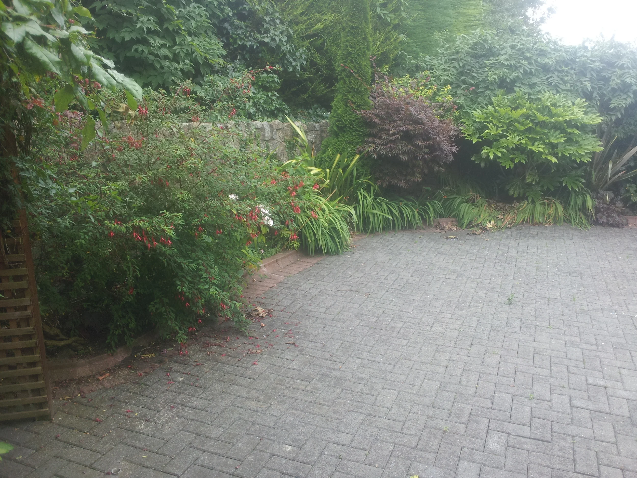 20130808_104403.jpg
