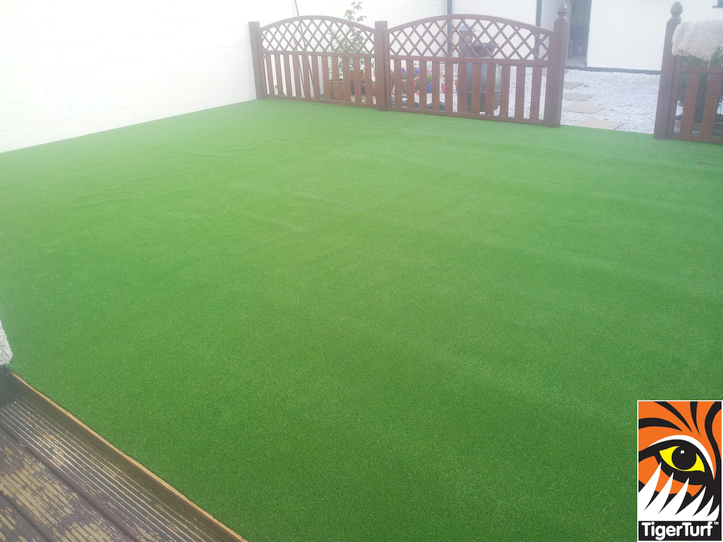 synthetic grass in family garden 3.jpg