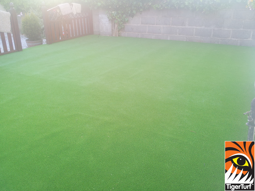 synthetic grass in family garden 3 (1).jpg
