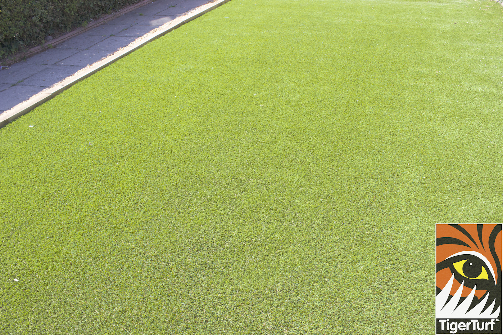 TigerTurf Finesse Deluxe lawn