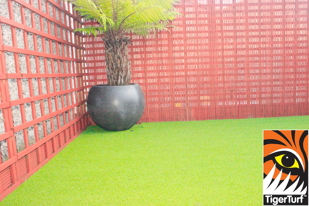 Synthetic grass in front lawn 71.jpg