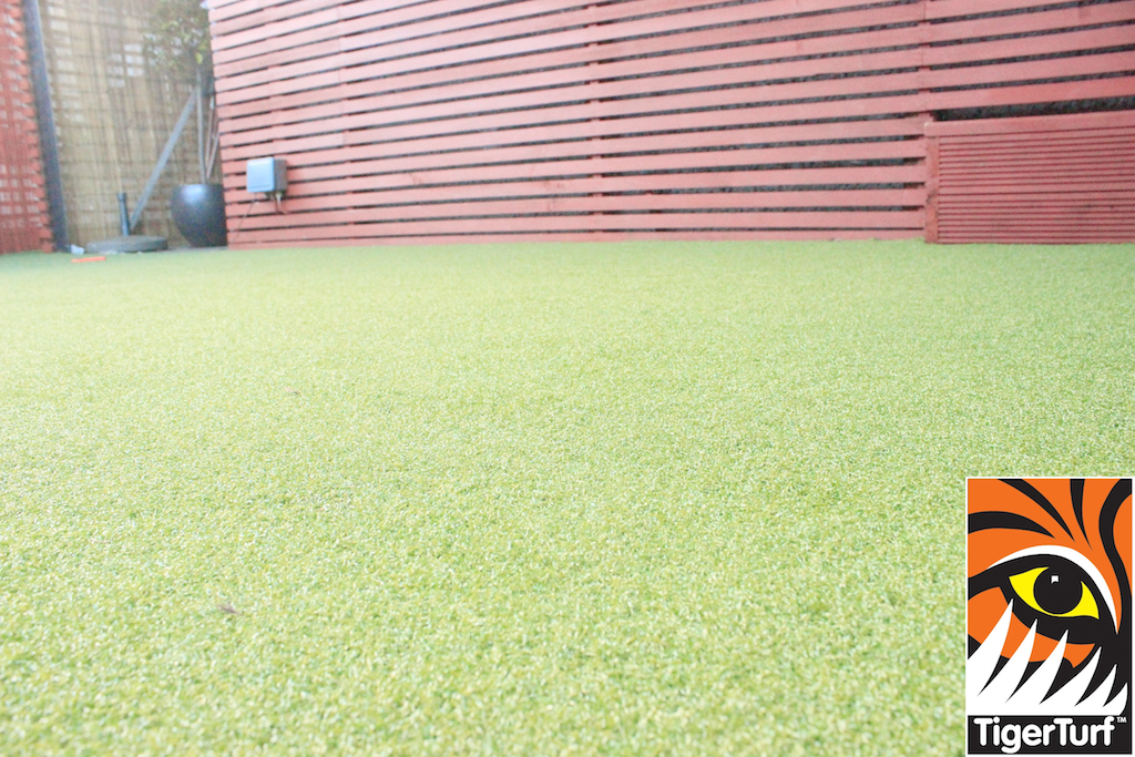 Synthetic grass in front lawn 63.jpg