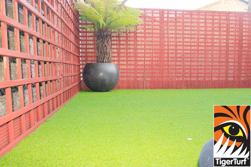 Synthetic grass in front lawn 94.jpg