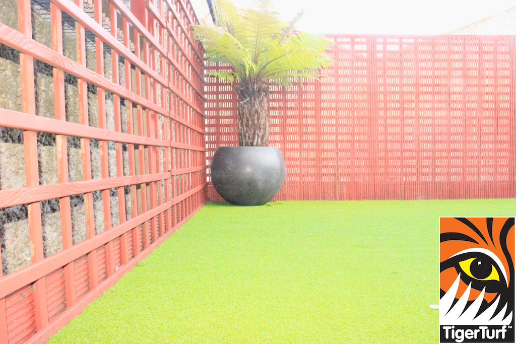 Synthetic grass in front lawn 93.jpg