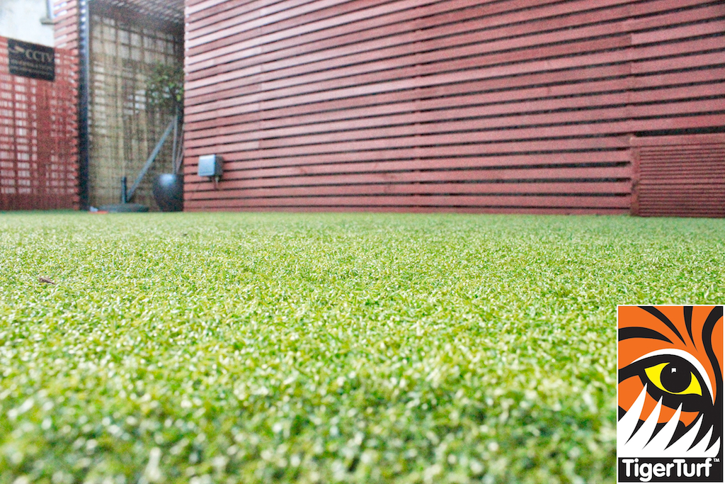 Synthetic grass in front lawn 66.jpg