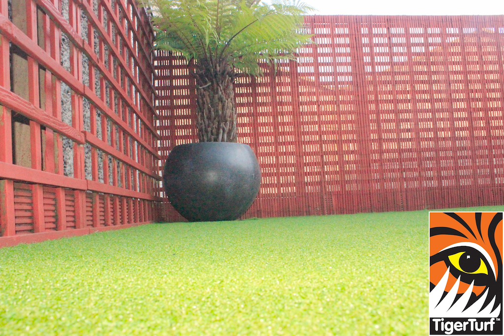 Synthetic grass in front lawn 75.jpg