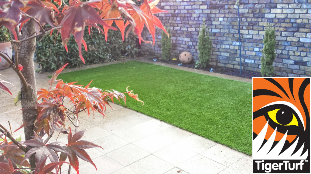 Synthetic grass in front lawn 78.jpg